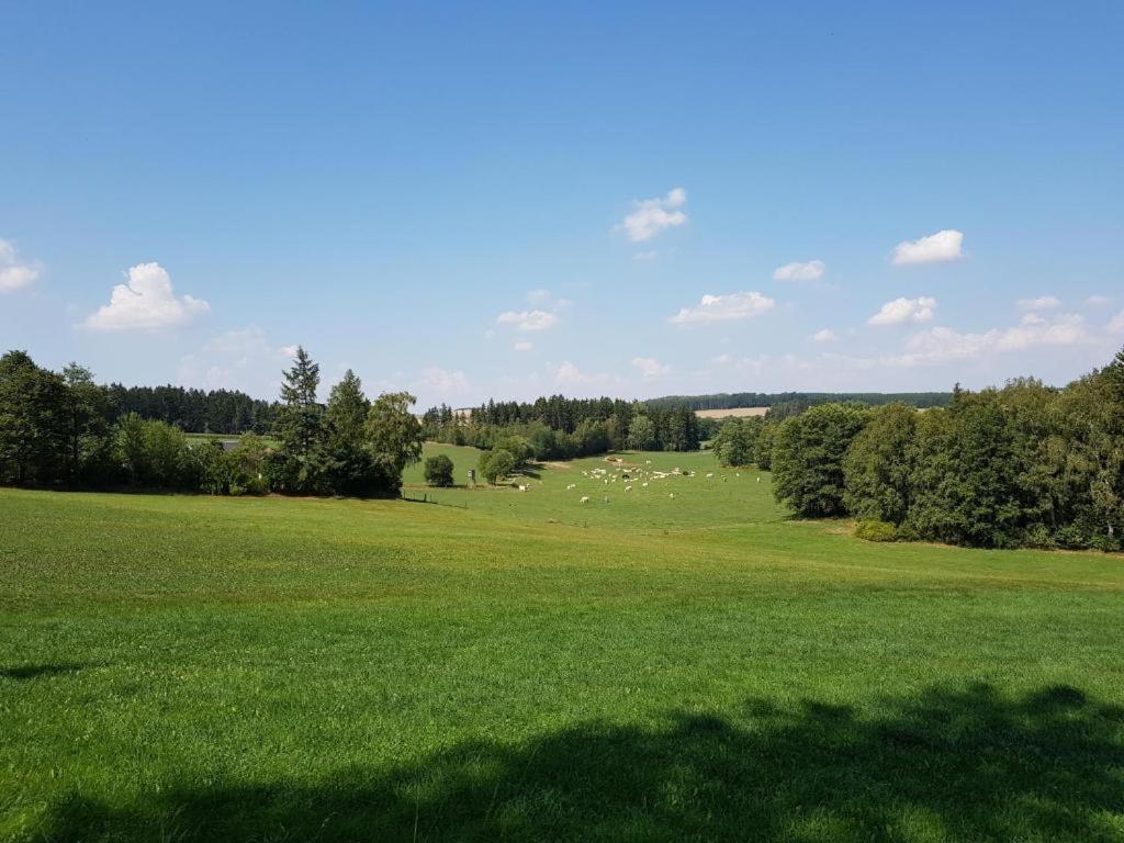 Landgasthof Gruener Baum Regnitzlosau Buitenkant foto